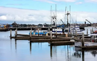 Mooring for Floating Structures